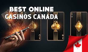Discover the Real Canadian Online Casino Experience -264505667