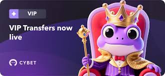 Exploring the Future of Gaming with Cybet Crypto Casino